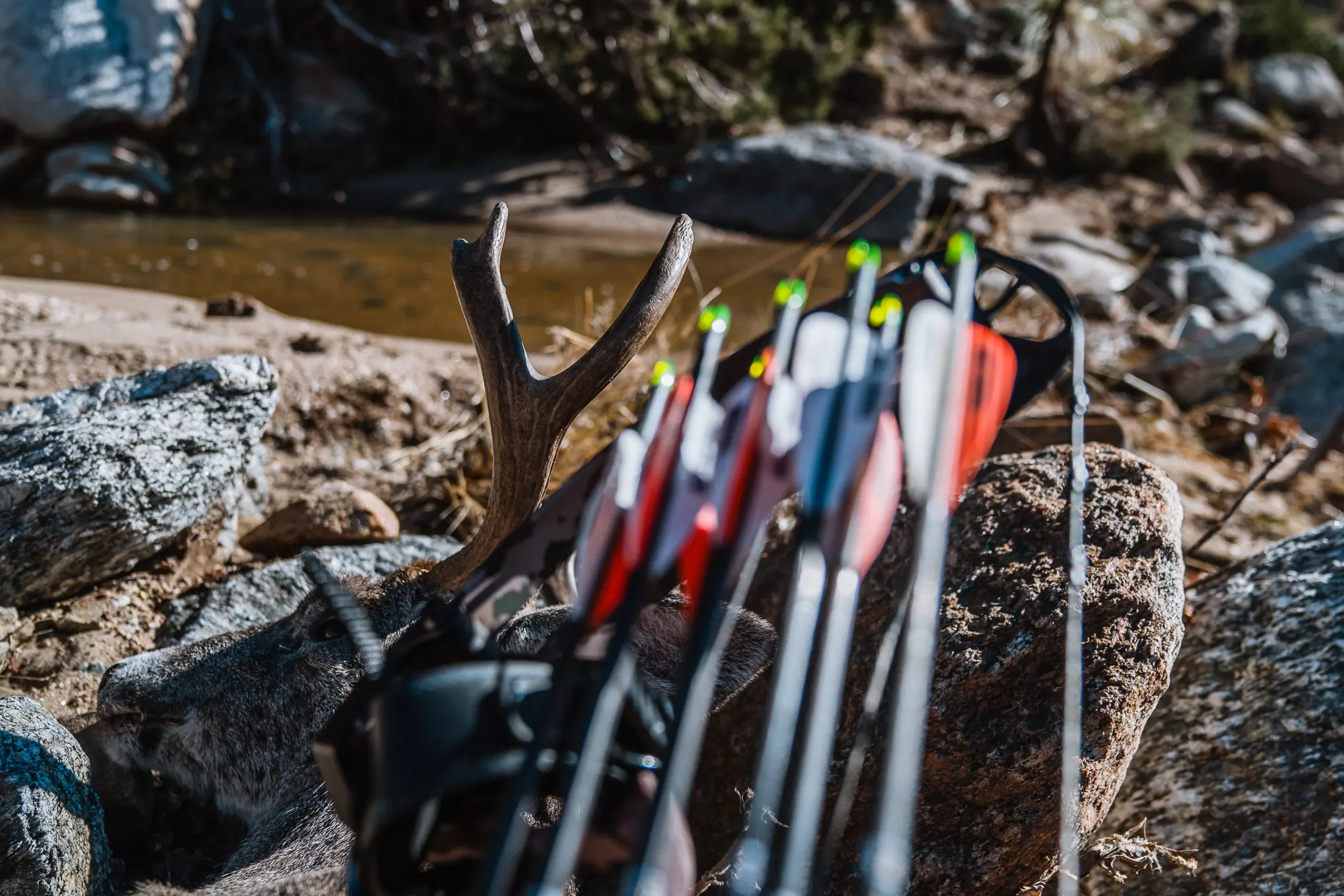 Bowhunting Accessories You Don’t Want to Sleep On