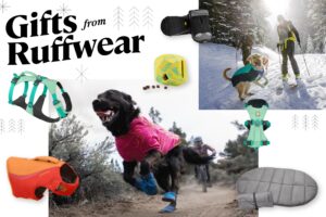 The Best Gifts for Your Outdoorsy Dog