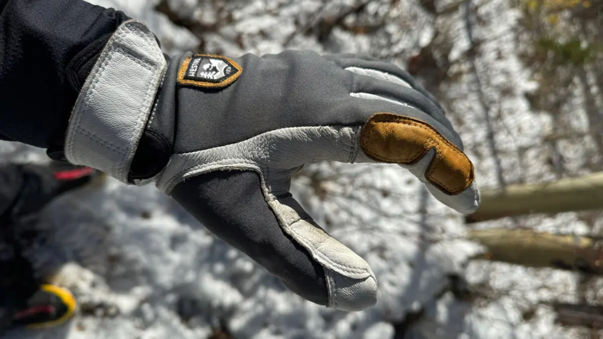 Hestra Ergo Active Review: Winter Gloves So Good, I Bought 3