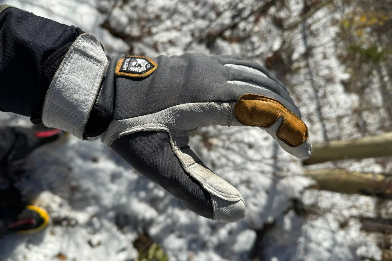 Hestra Ergo Active Review: Winter Gloves So Good, I Bought 3