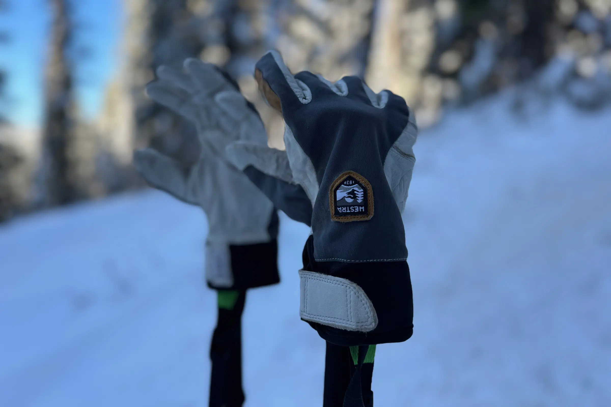 Hestra Ergo Active Gloves' on ski poles