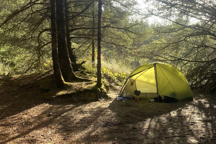 the NEMO Dragonfly backpacking tent in a lush green clearing