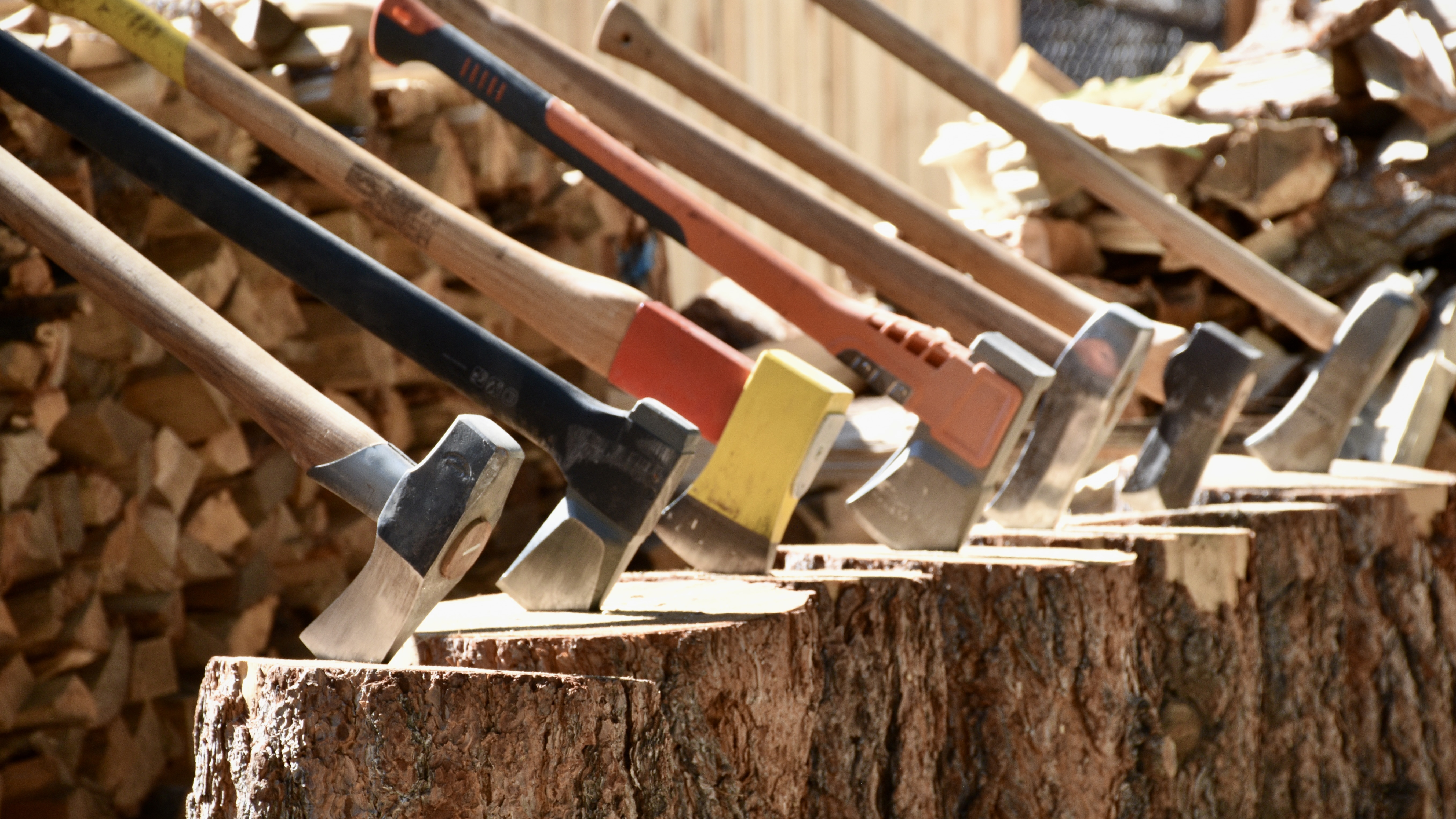 a lineup of the best axes for splitting wood