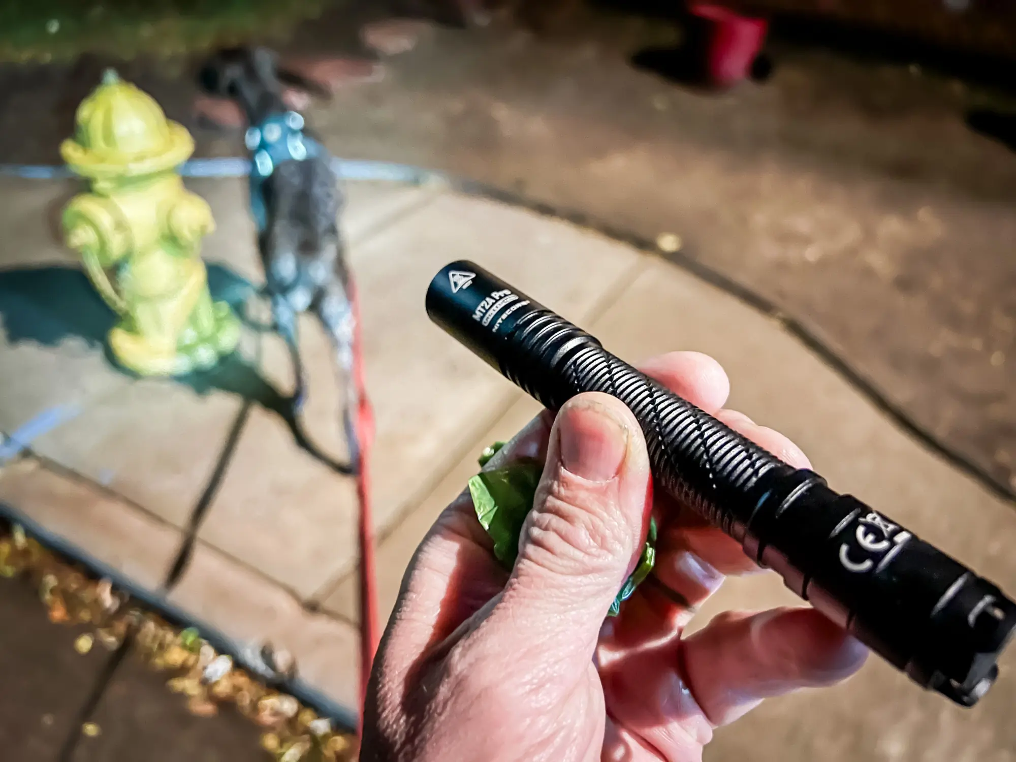 The Nitecore MT2A Pro and dog on city street