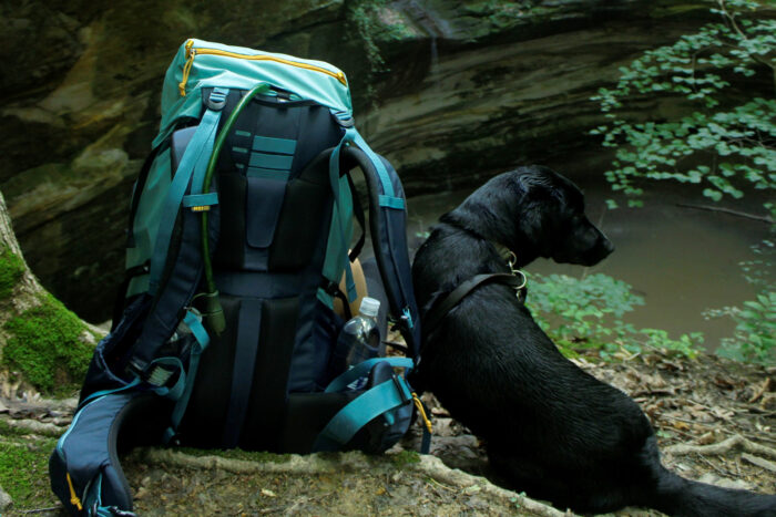 View of the rear  padding of the REI Trailmade 60 pack