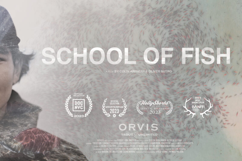 ‘School of Fish’: How Alaska Natives Are Fighting to Preserve the Salmon Run