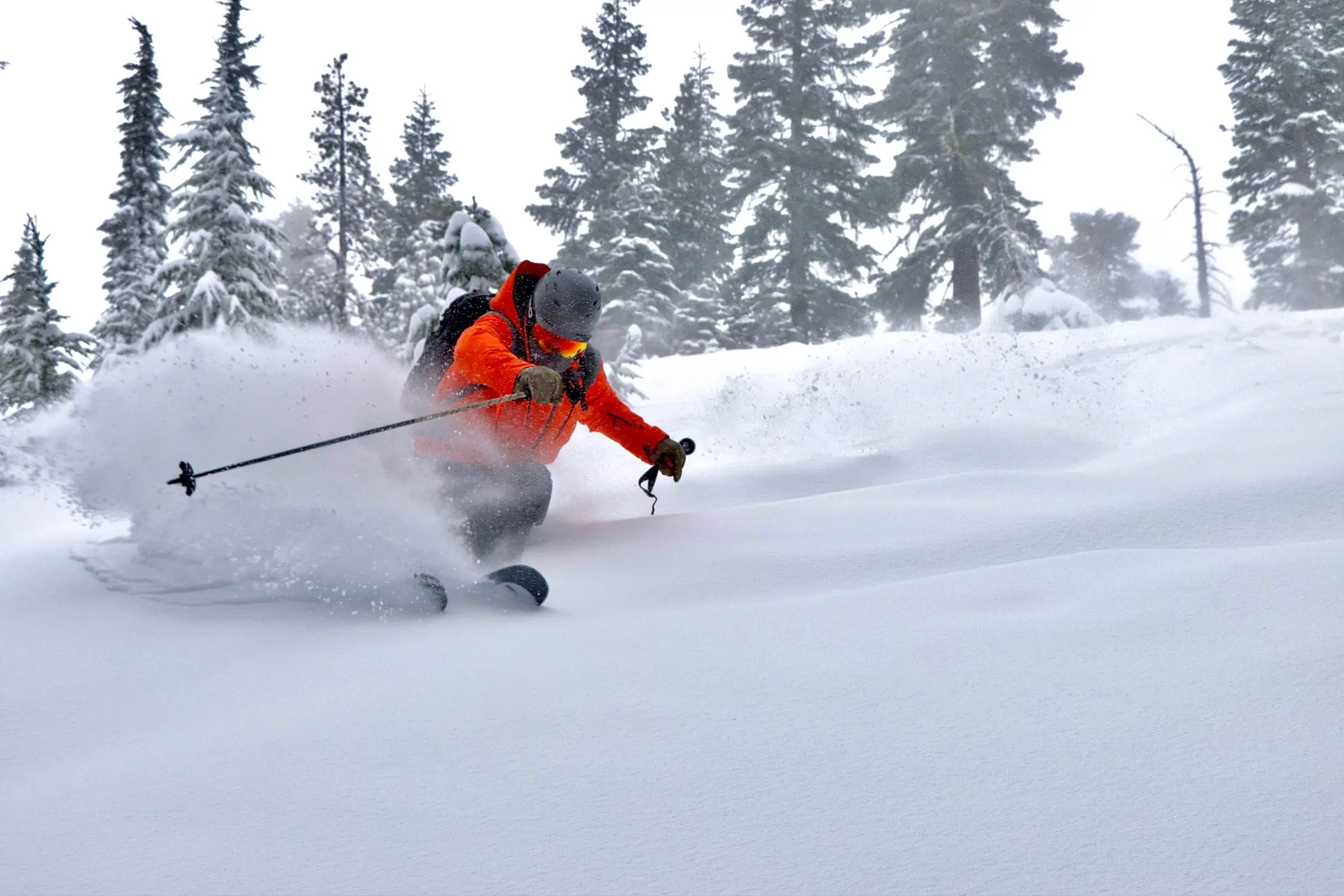 Skier makes a turn at Bear Valley Ski Resort