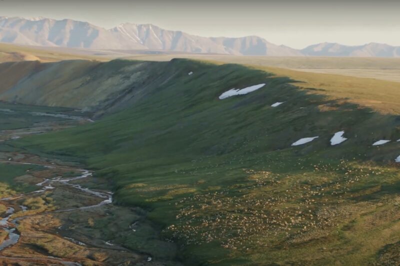 Help Patagonia Stop Arctic Resource Extraction in Alaska’s Brooks Range: Speak Out, ‘Save Big’