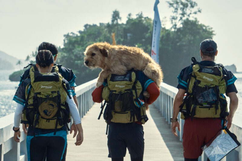 In ‘Arthur the King,’ Mark Wahlberg Brings Story of Adventure Racing Dog to Big Screen
