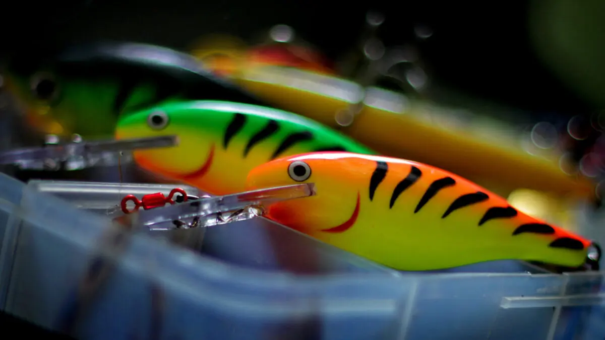 Can Fish See Lures at Night: Uncover the Truth for Better Fishing