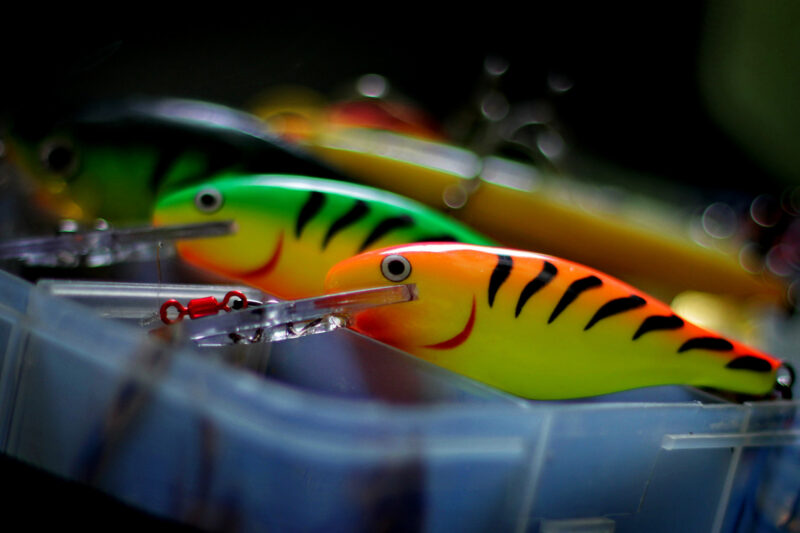 Colorful Tastes: The Science Behind What Bass Actually See and How to Choose Your Lures