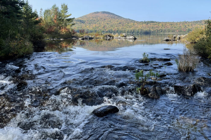 100 Mile Wilderness in Maine;