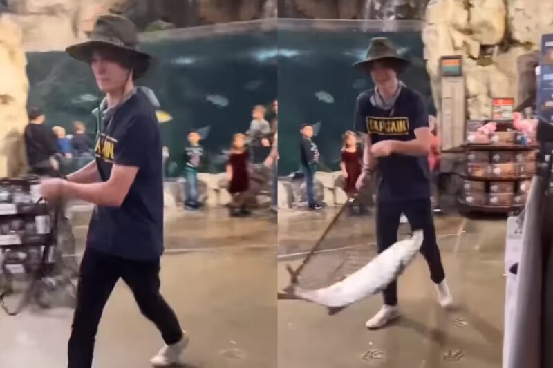 Man ‘Catches,’ Steals Live Tarpon From Bass Pro Shops