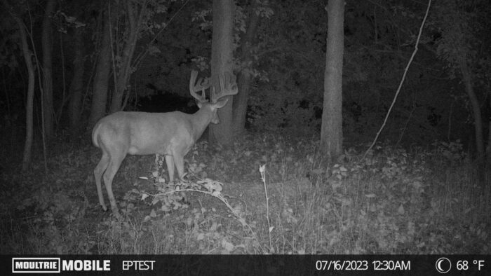 Moultrie Mobile Cam Images