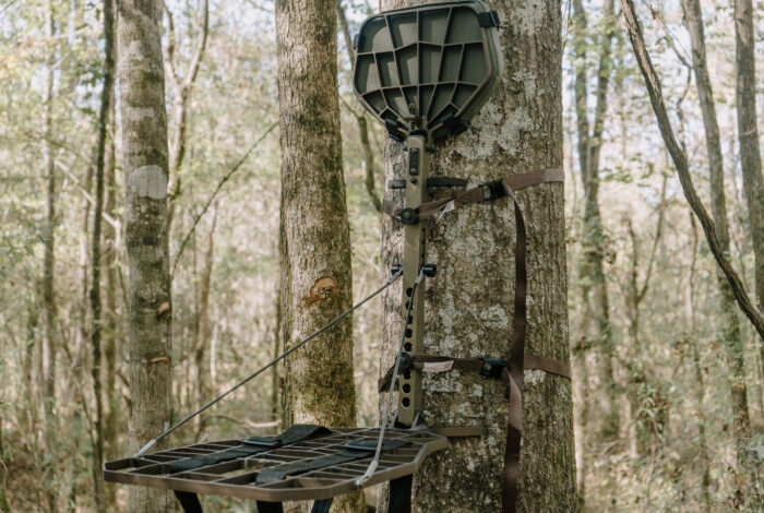 beast gear treestand fully set up