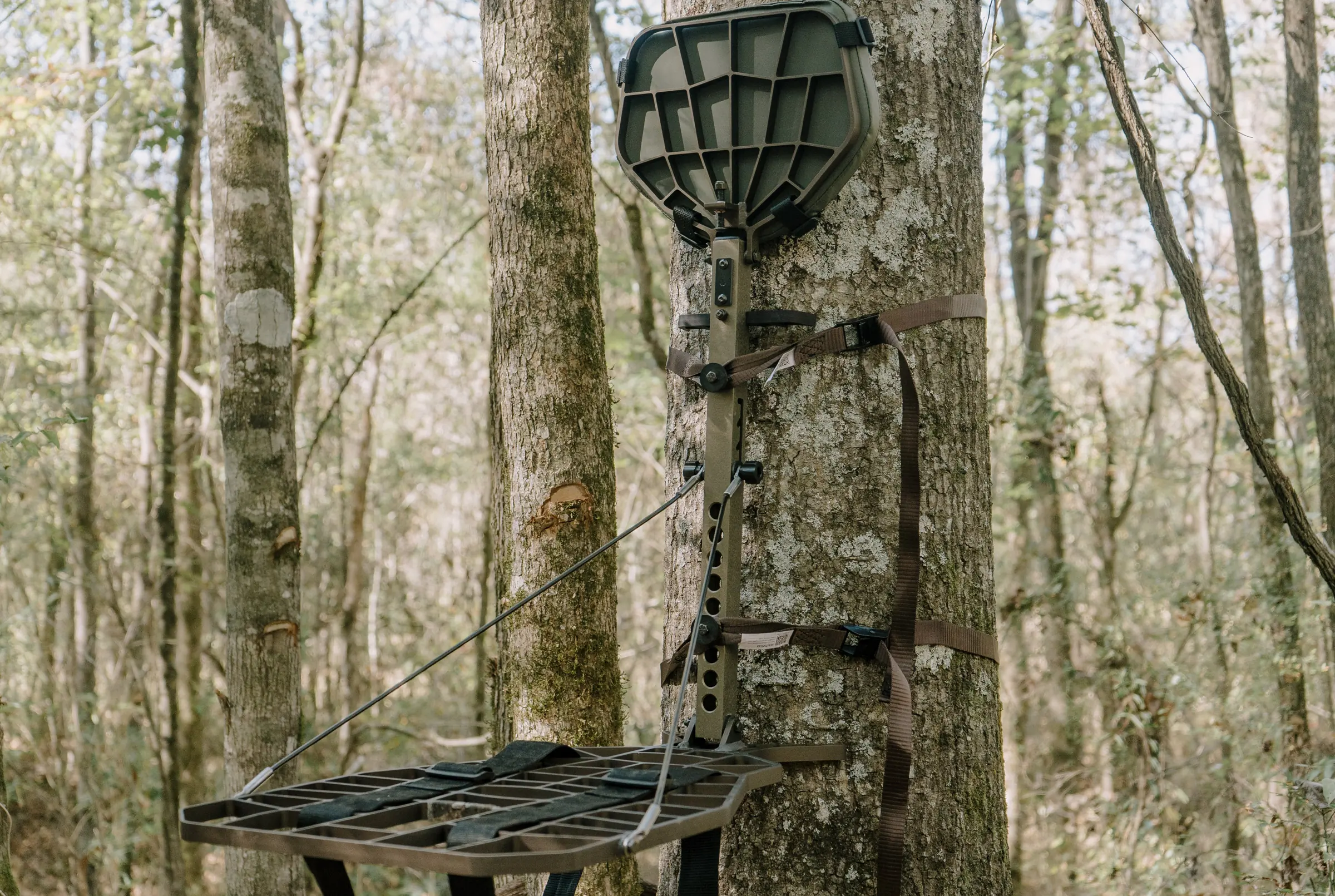 beast gear treestand fully set up