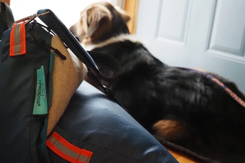 Finally, a Travel Dog Bed That Isn’t Just Foam: Timberdog Ruffrest Review