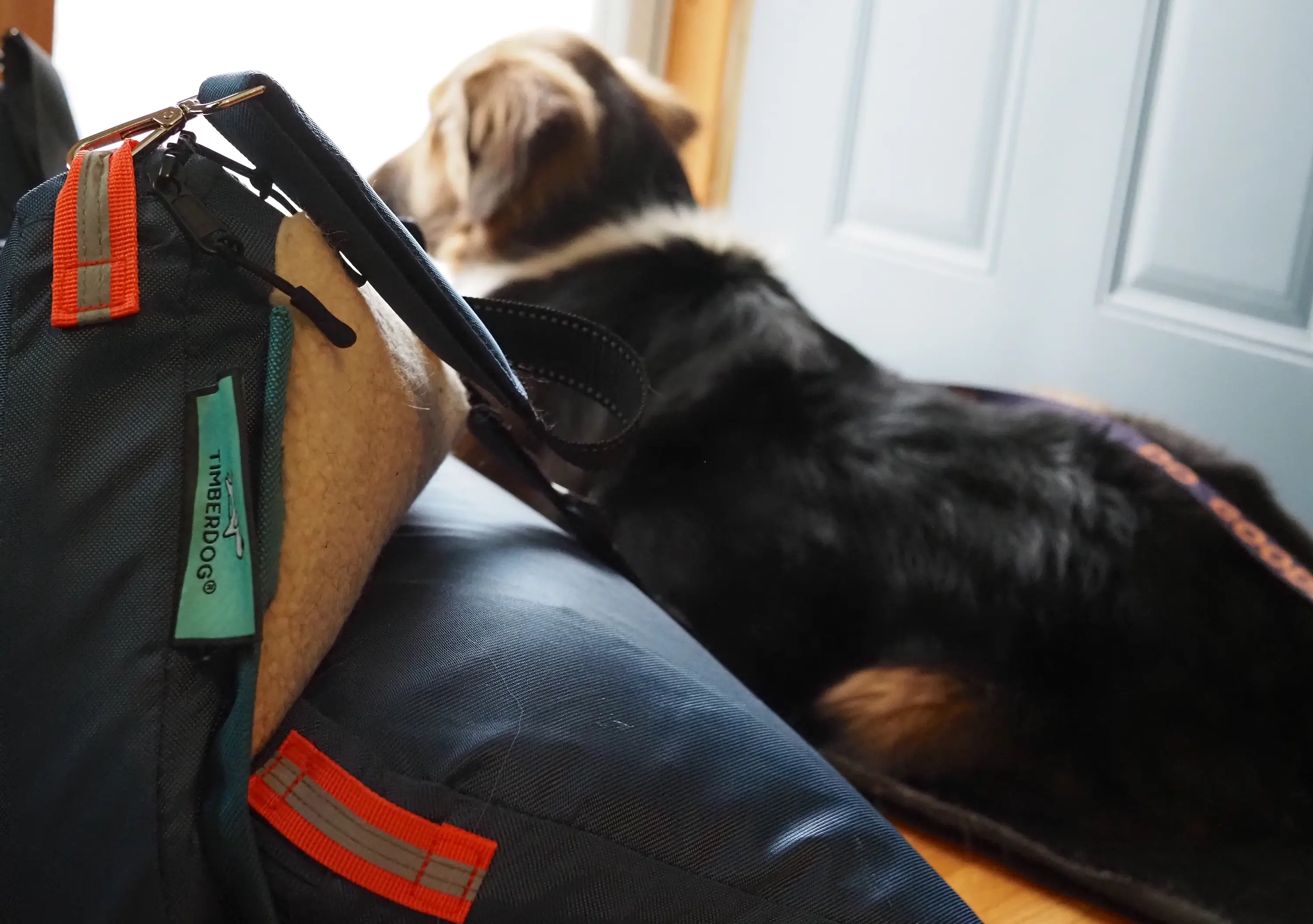 Finally, a Travel Dog Bed That Isn’t Just Foam: Timberdog Ruffrest Review