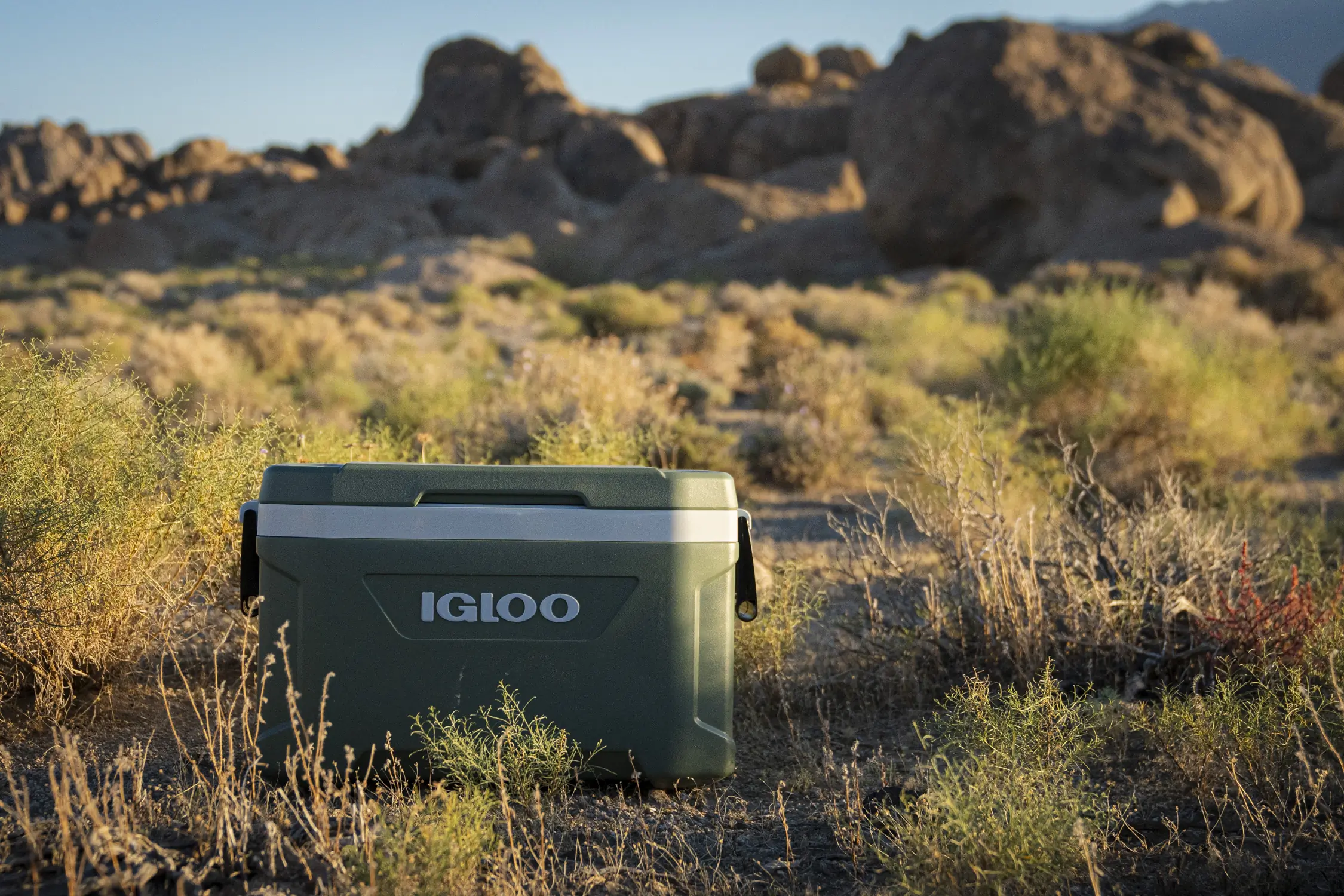 An injection molded cooler