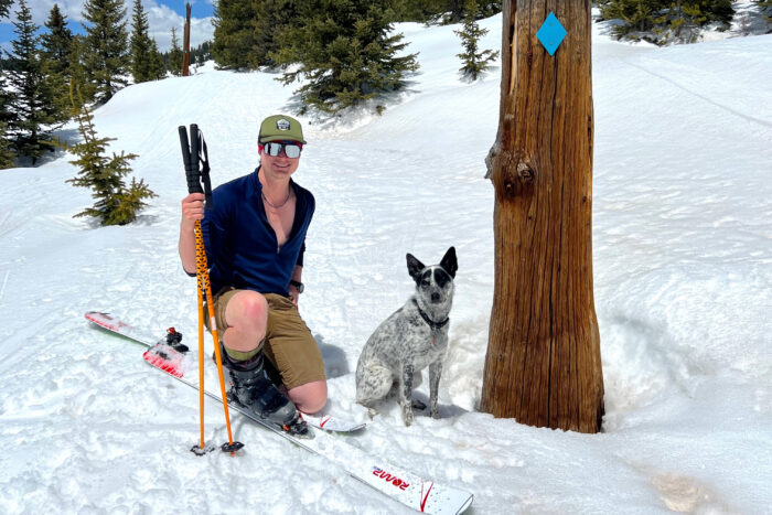 Skiing with dogs