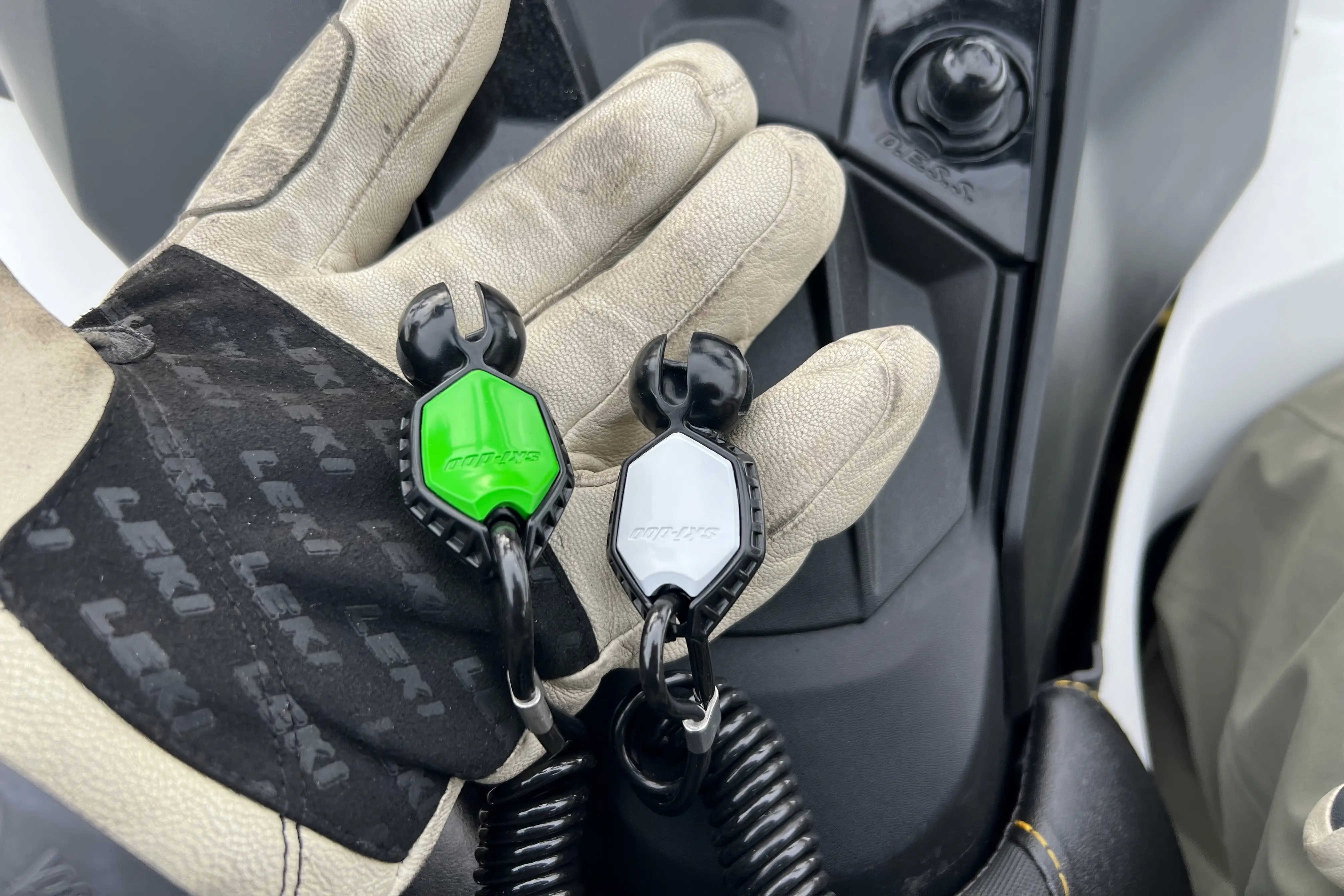 (Photo/Will Brendza)