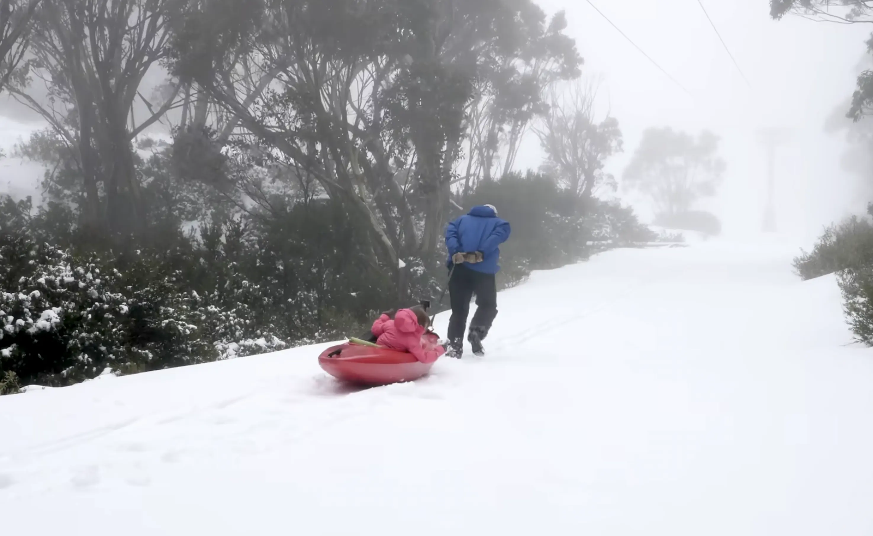 The Most Wholesome Snow Day Throwback: Kayaking in the Snow
