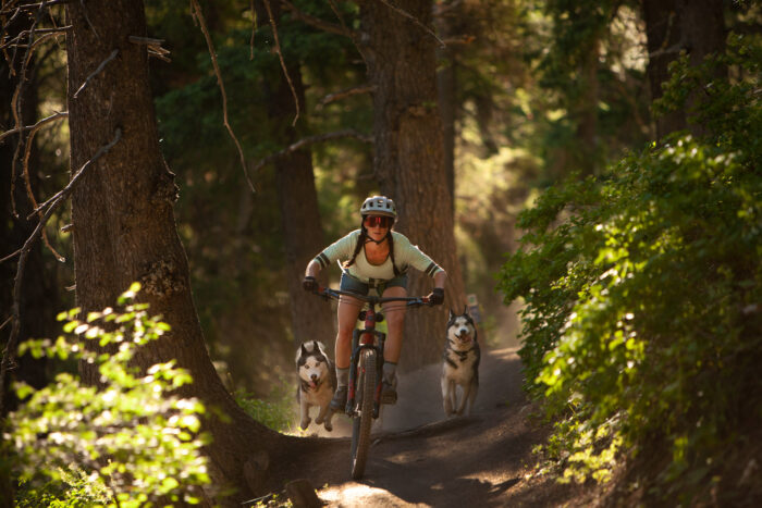 a woman ride a bike in the company of two dogs