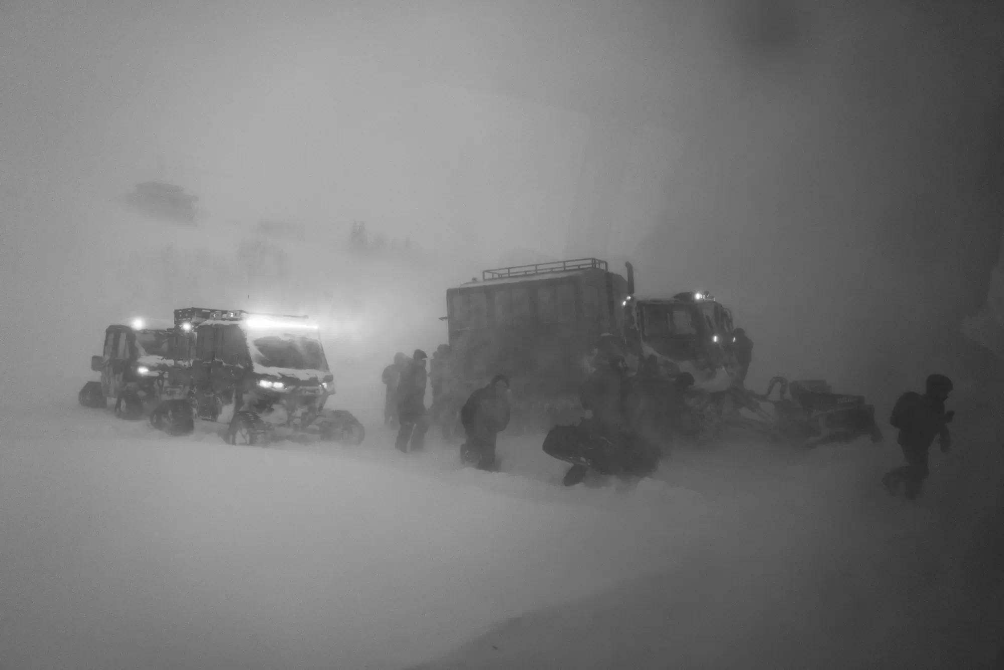 Snow cats in a blizzard