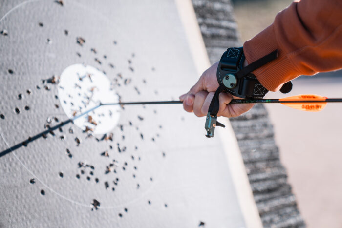 Testing the Stan SoleX Release - 1