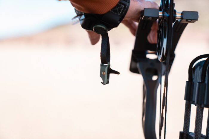 Stan SoleX Release view