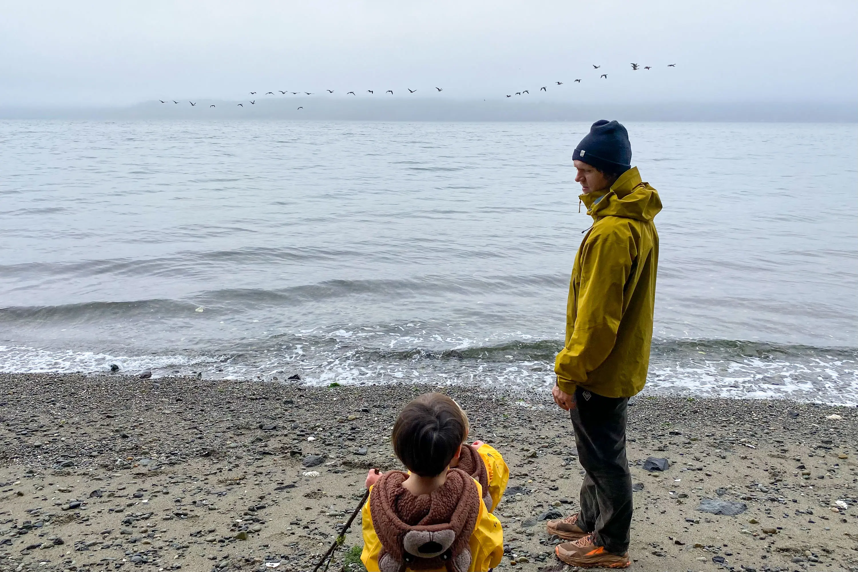 Arc'teryx Beta AR Hood Canal