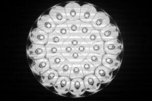 Imalent SR32 flashlight bulb closeup