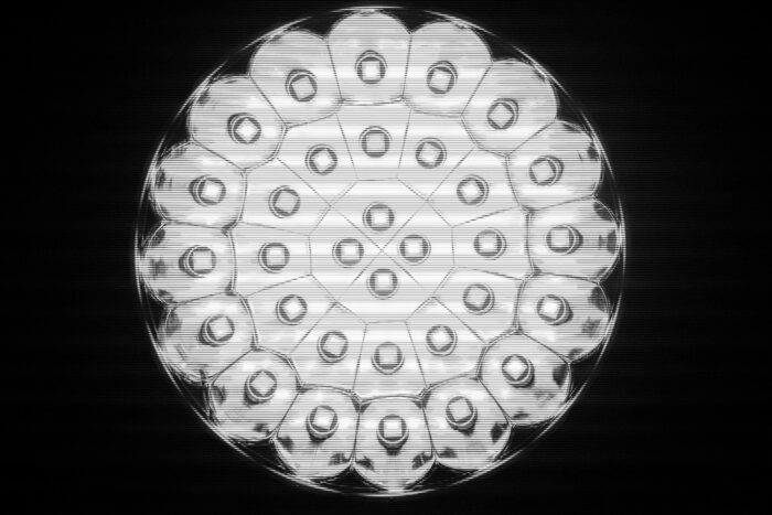 Imalent SR32 flashlight bulb closeup