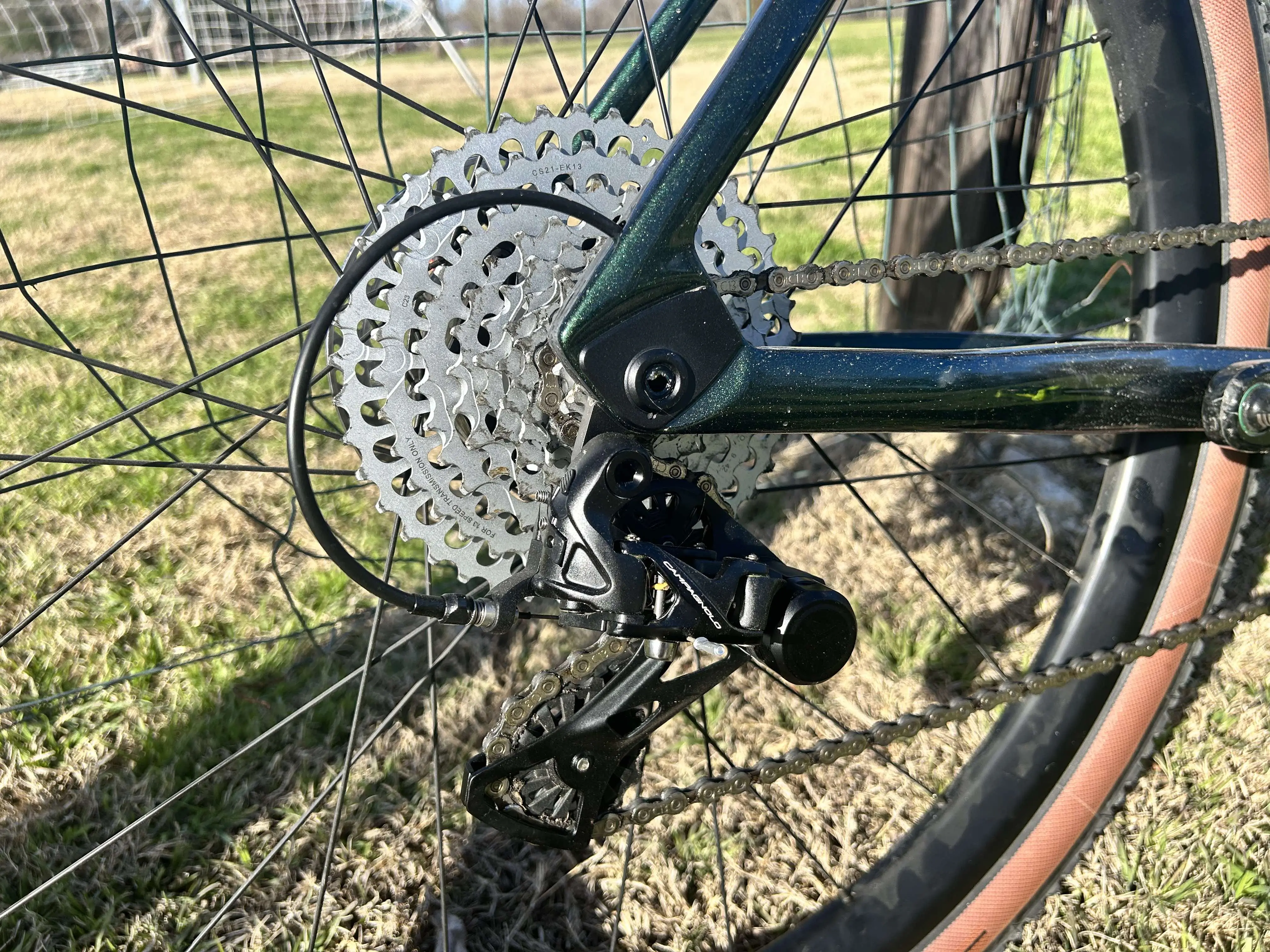 Campagnolo Ekar 13-speed cassette and derailleur.