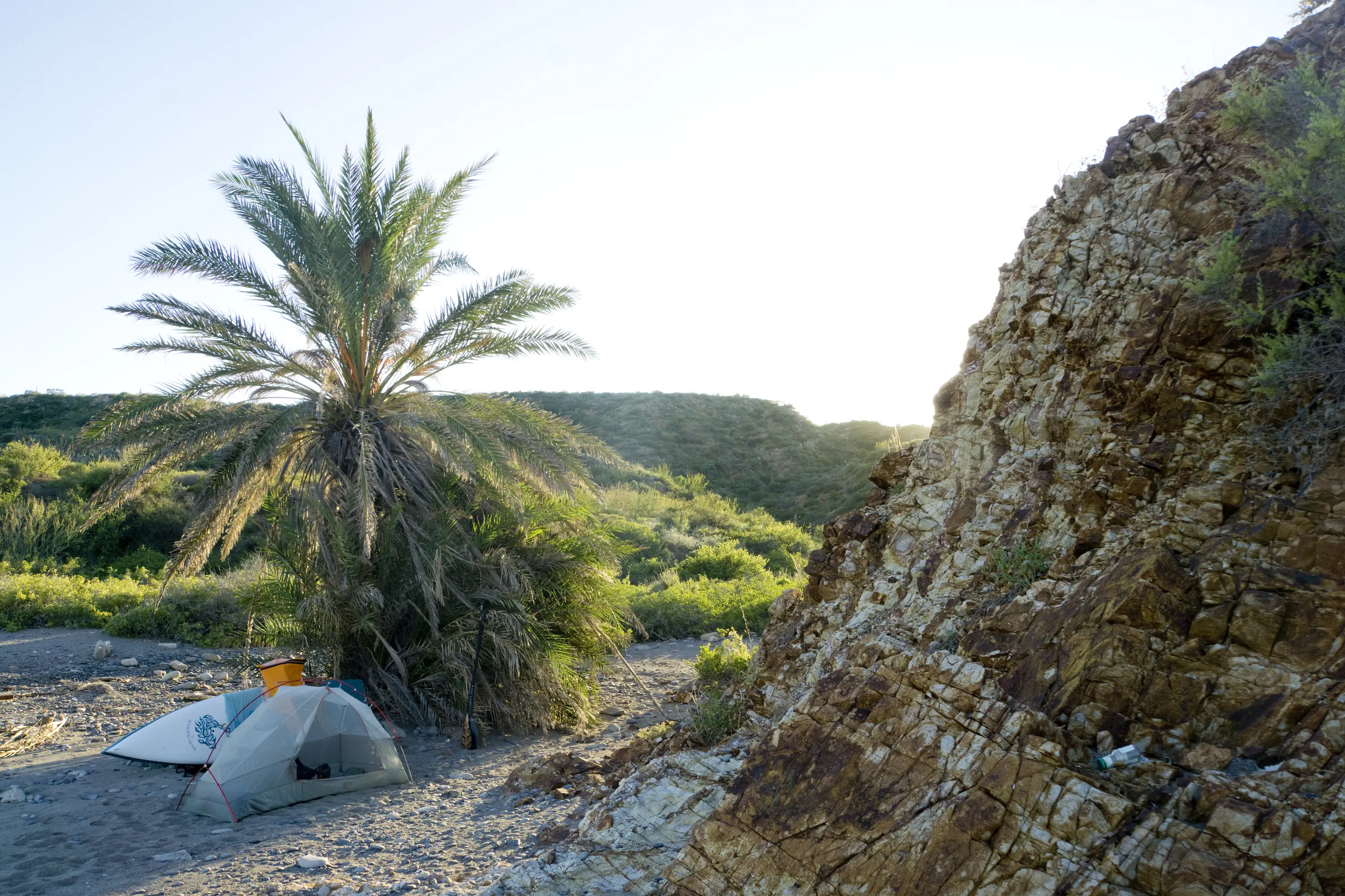 a 1-person tent dry bag and paddle board along a desert Baja coast. The tent is in the shade beneath a spiky palm tree