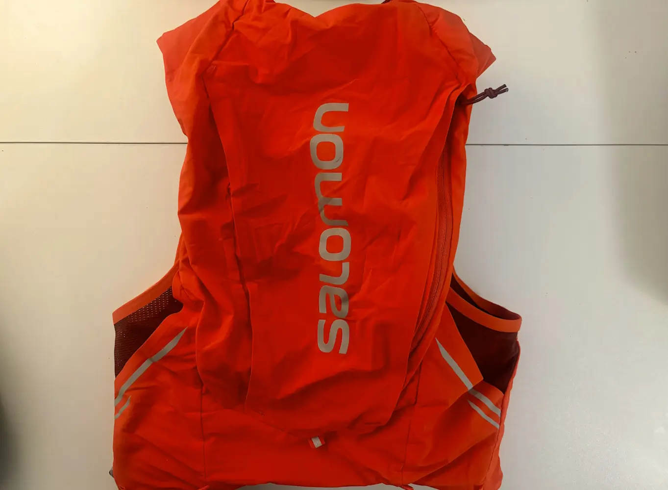 Salomon Sense Pro 10 Running Vest Review: No Chafe, No