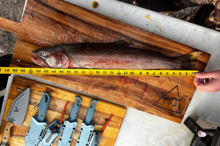 A legal lunch take in the lake on monsters