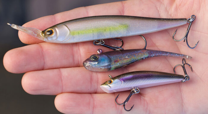 Berkley Forward-Facing Sonar