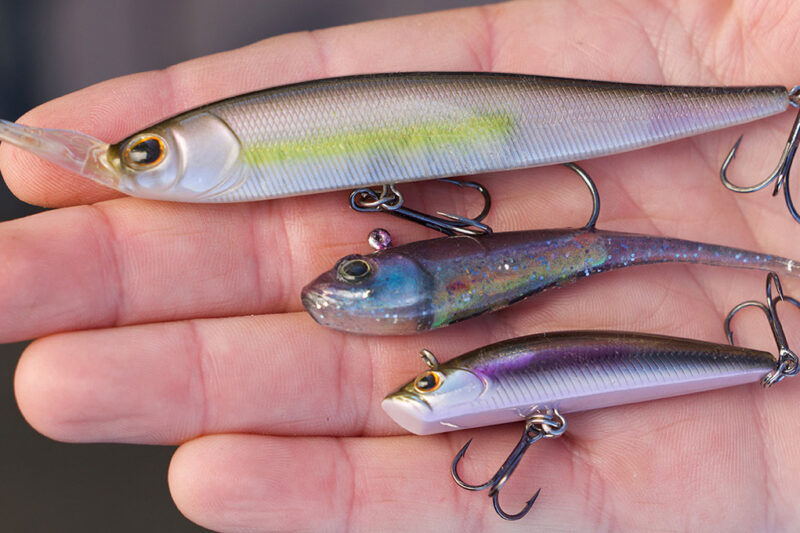 Unusual but Effective: Fishing Berkley’s Forward-Facing Live Sonar Lures