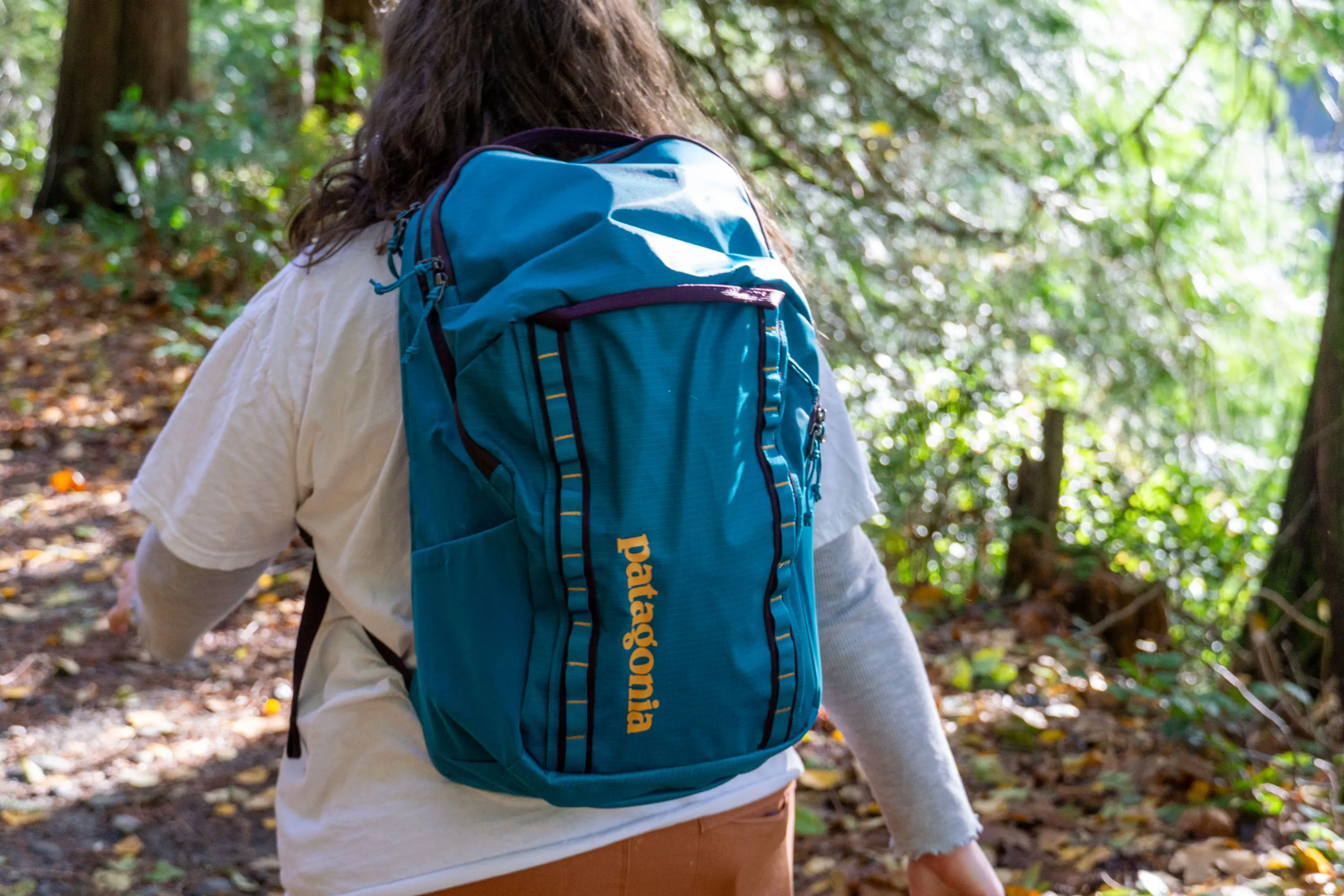 Best Backpacks — Patagonia Black Hole Pack