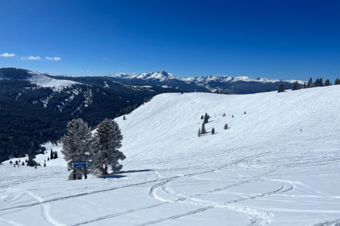 Back Bowls of Vail