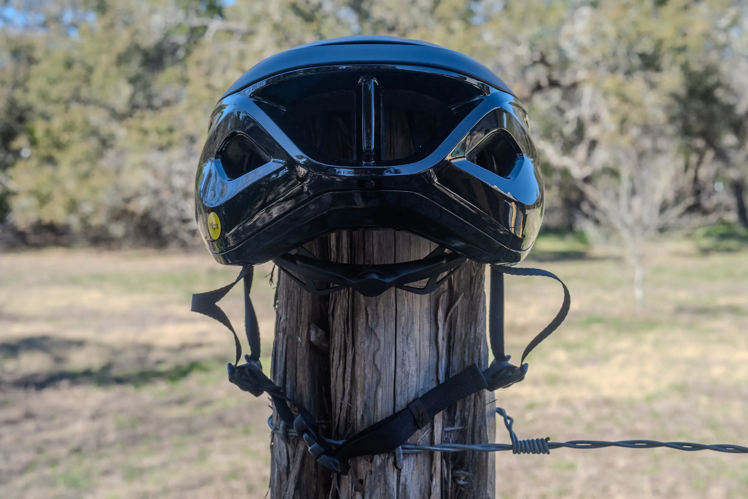 Specialized Propero 4 rear view