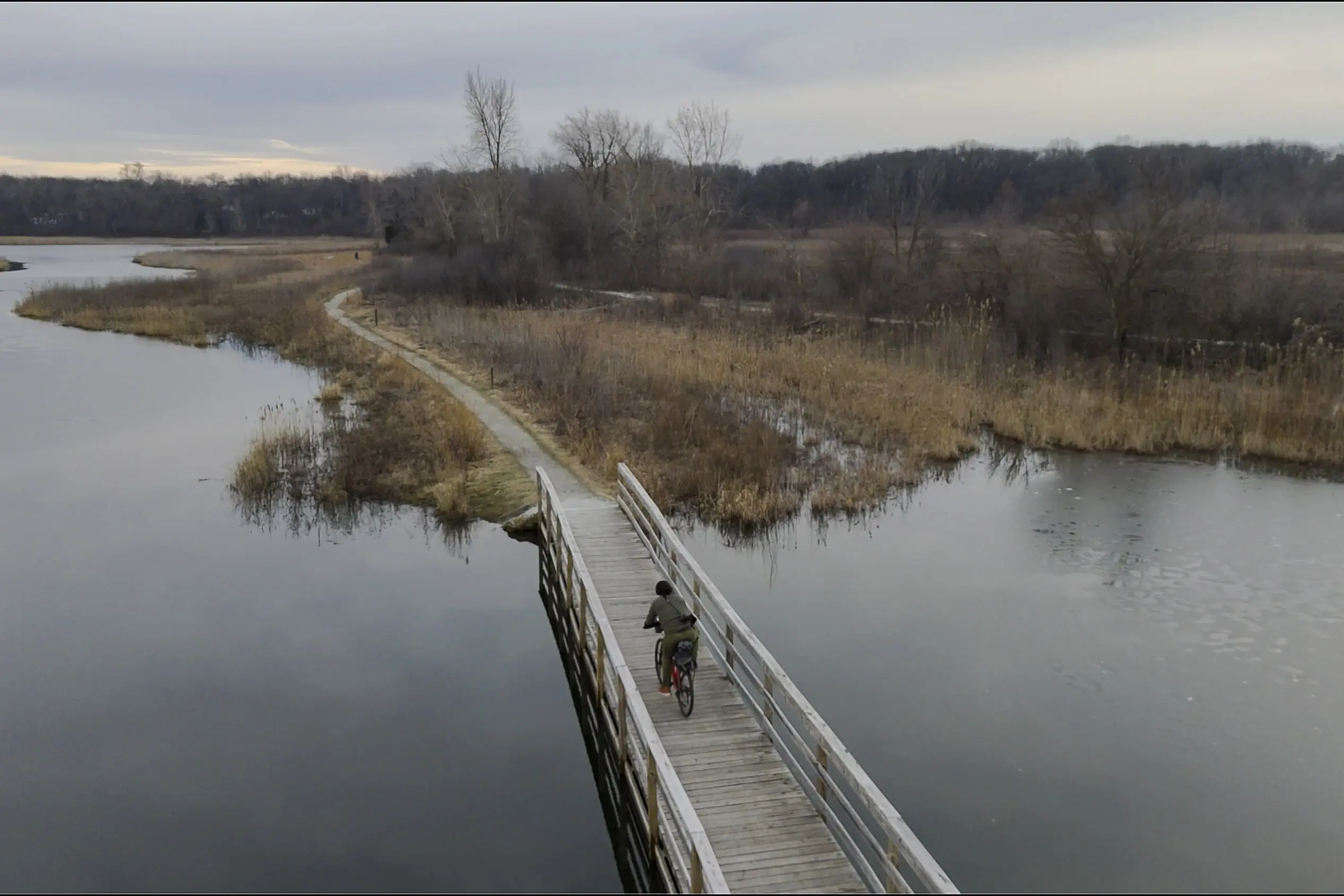 View of a pond from a drone