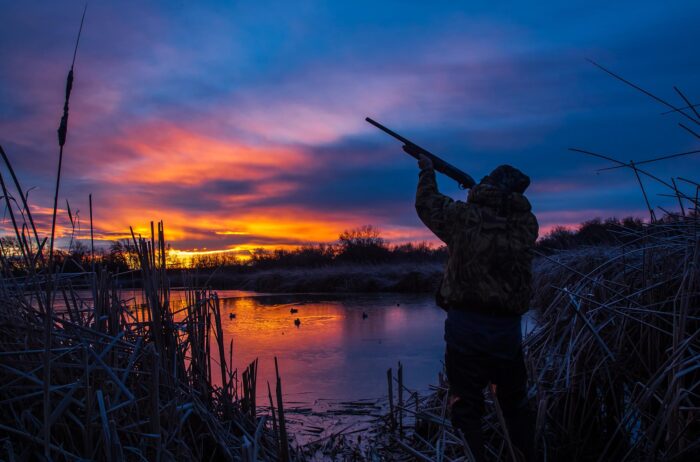 duck hunting sunrise