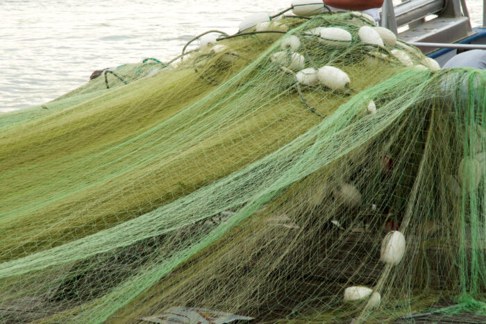 Gill Nets