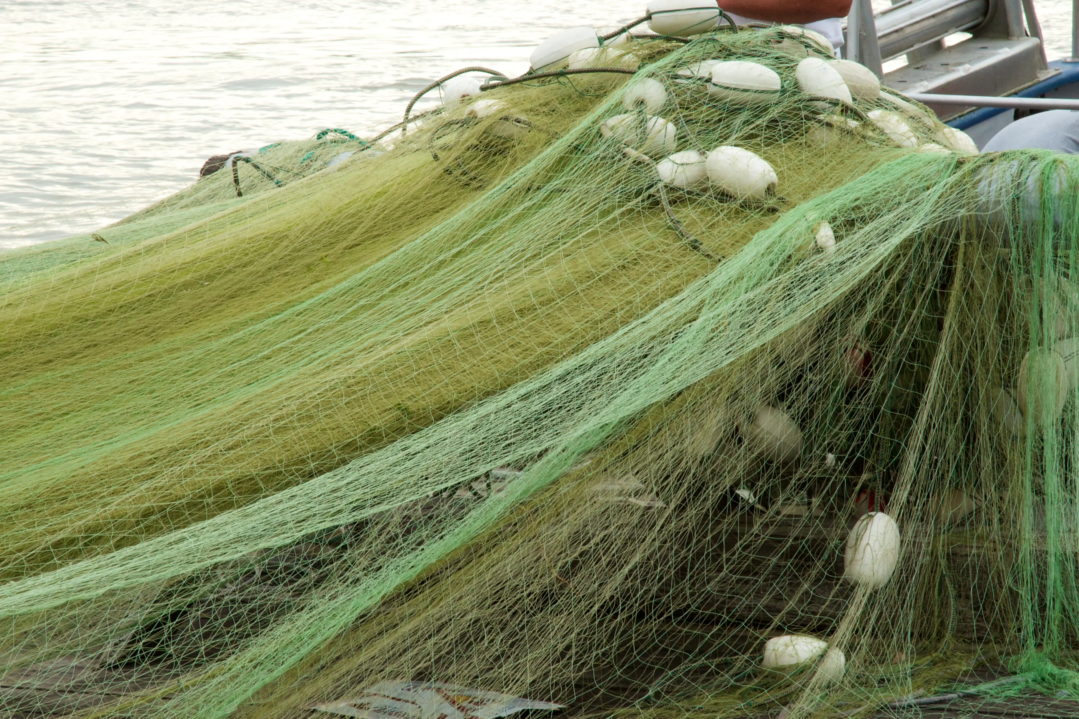 Gill Nets