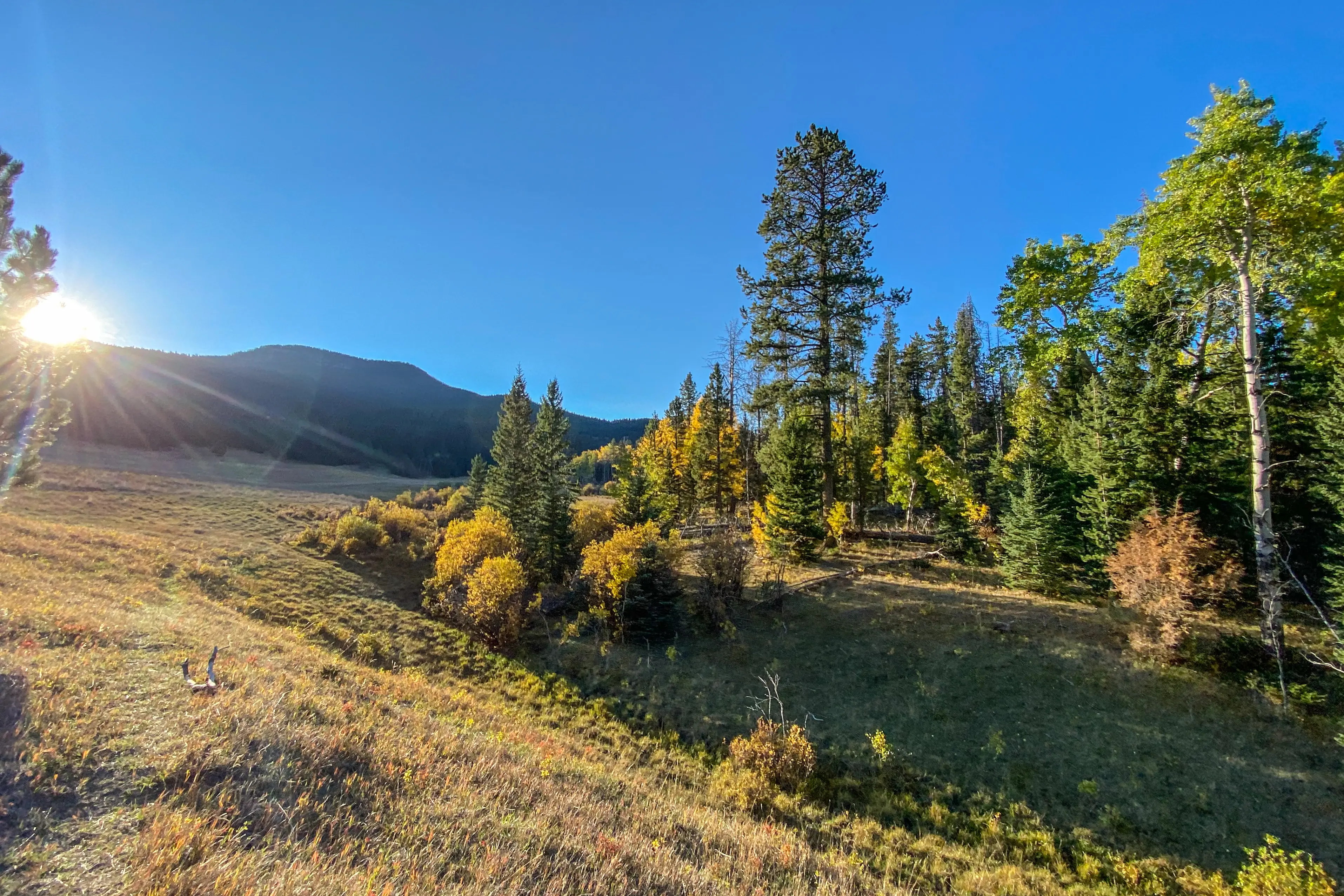 Mountain Scene in Montana