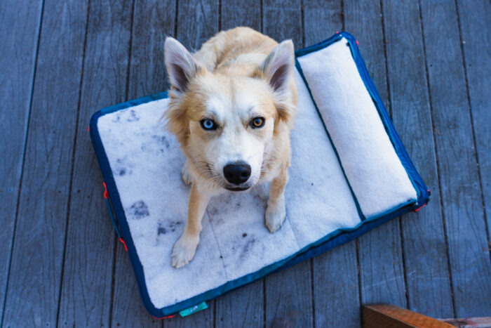 best dog beds Timberdog Ruffrest