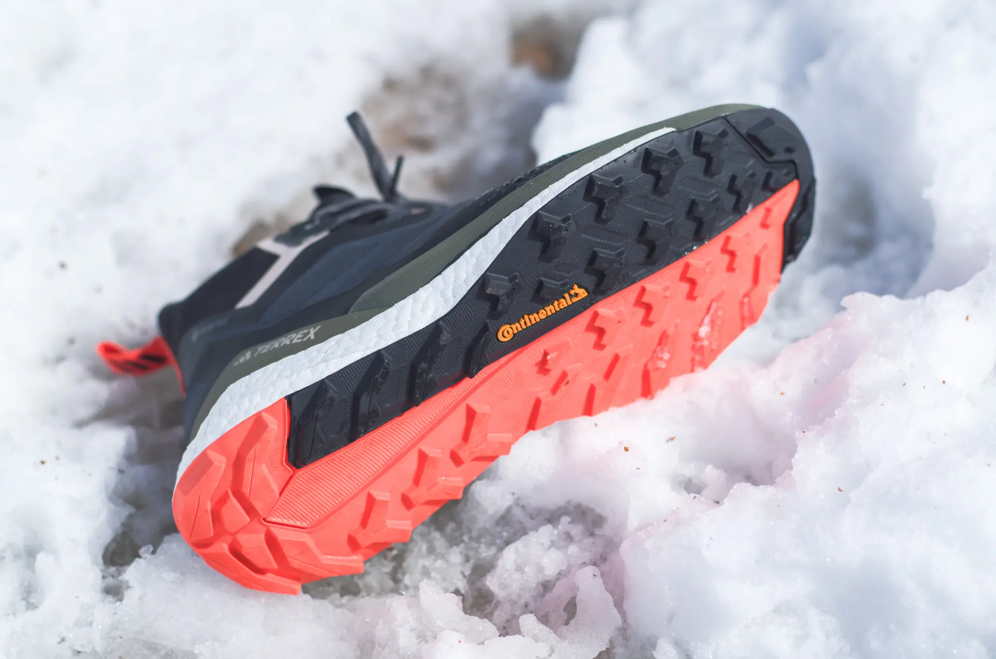 TERREX Free Hiker GORE-TEX 2.0 hiking shoe