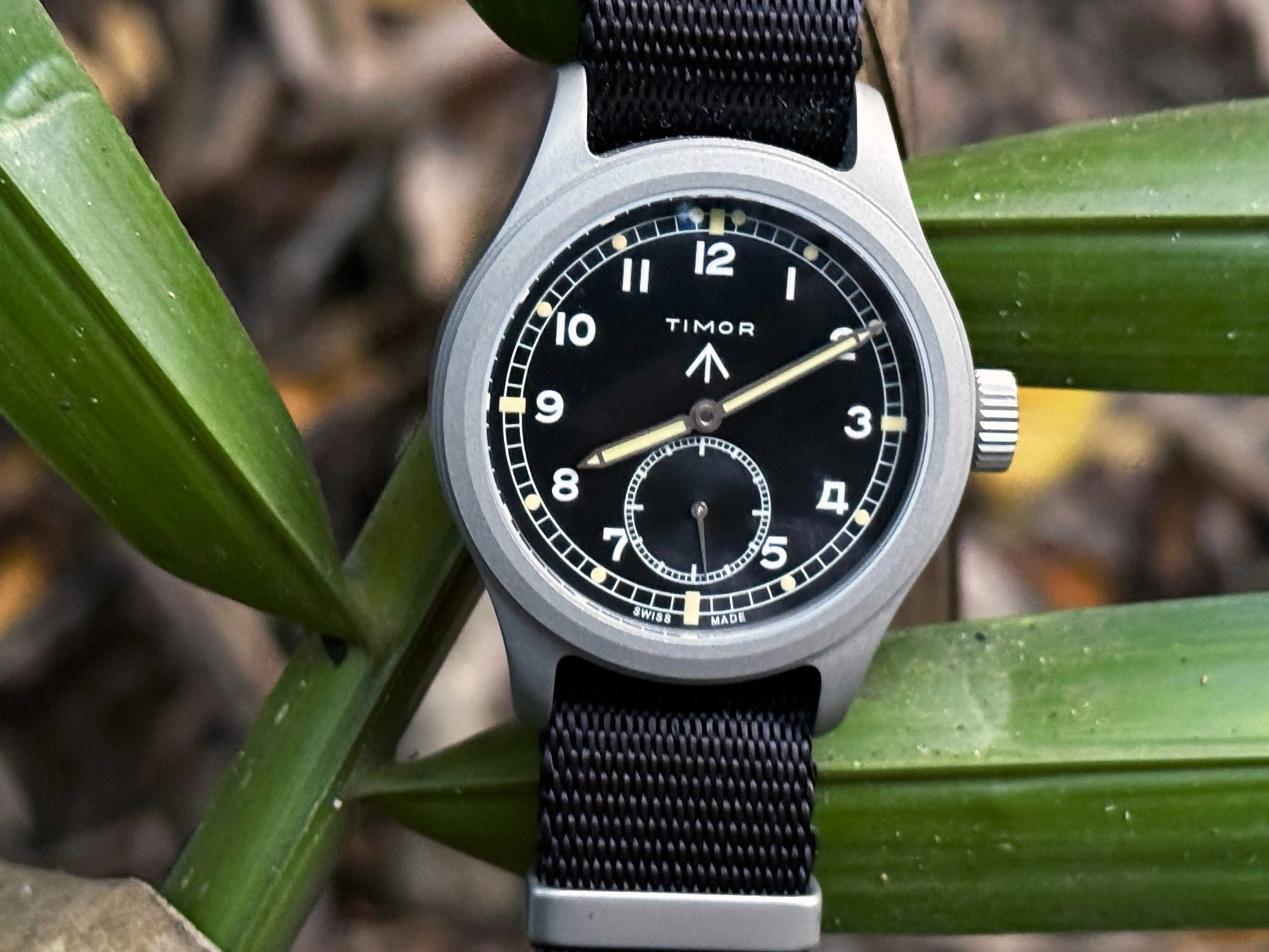 Timor Heritage Field WWW Watch Review